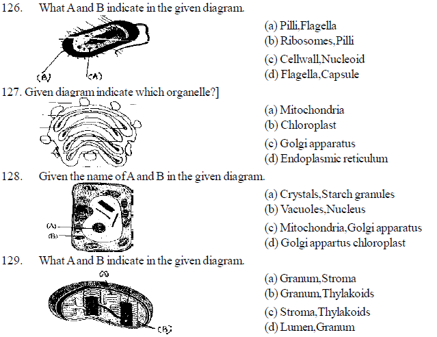 NEET UG Biology Cell Structure MCQs, Multiple Choice Questions